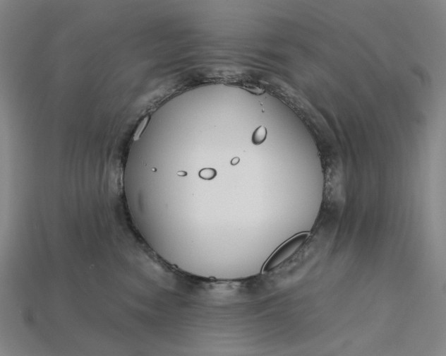 X0000115240474200911131708