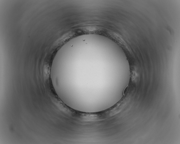 X0000115240476200911131708