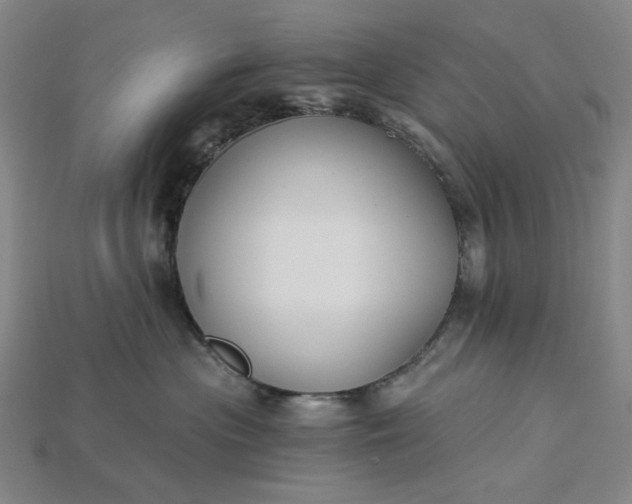 X0000115240477200911131708