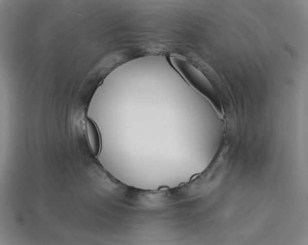 X0000115240479200911131708