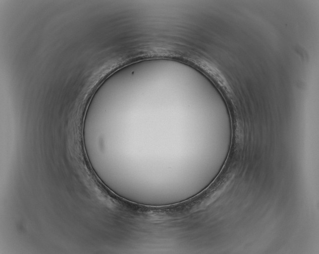 X0000115240481200911131707