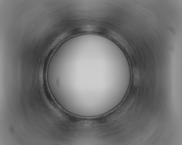 X0000115240482200911131707
