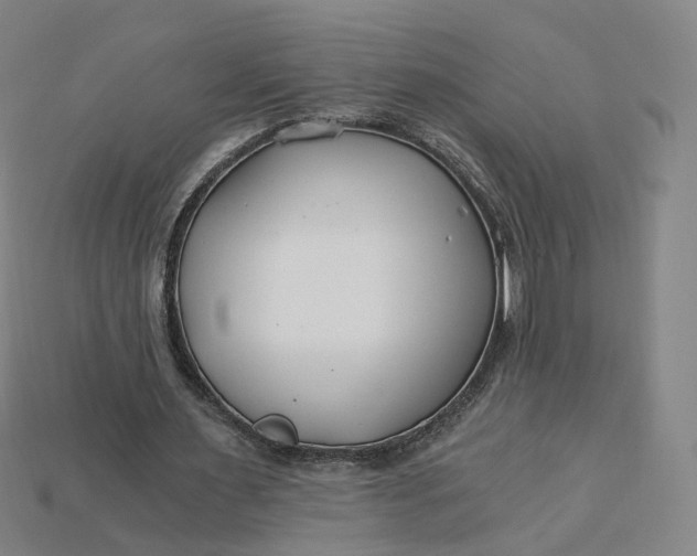 X0000115240483200911131707