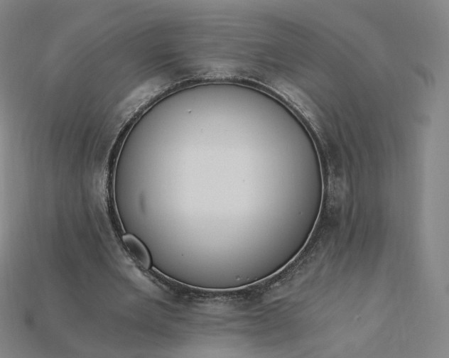 X0000115240485200911131707
