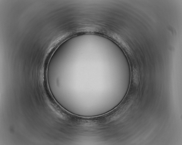 X0000115240486200911131707