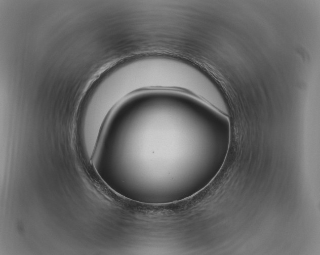 X0000115240488200911131707