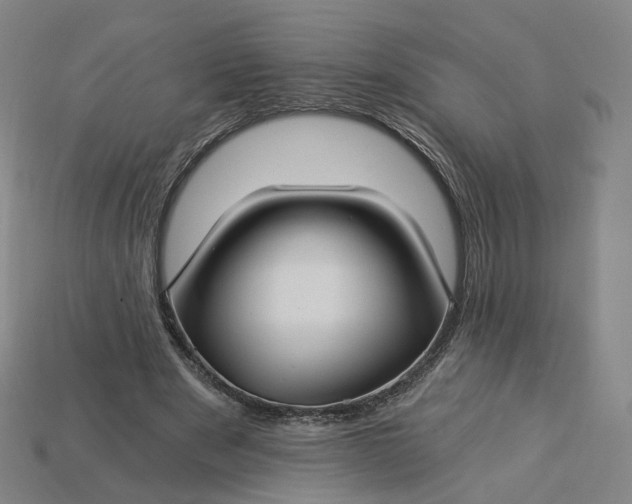 X0000115240489200911131707
