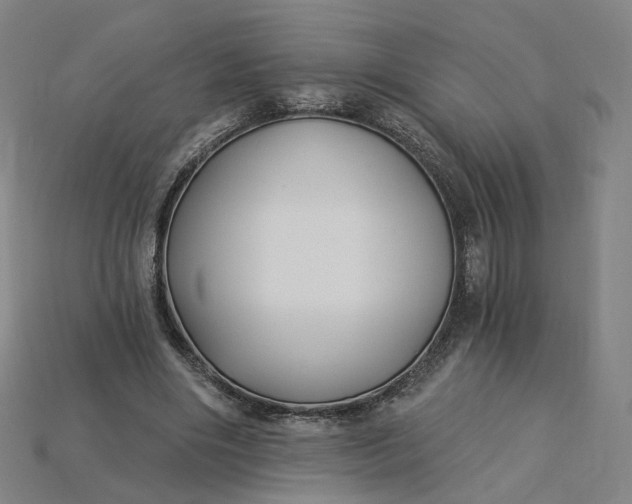 X0000115240490200911131707