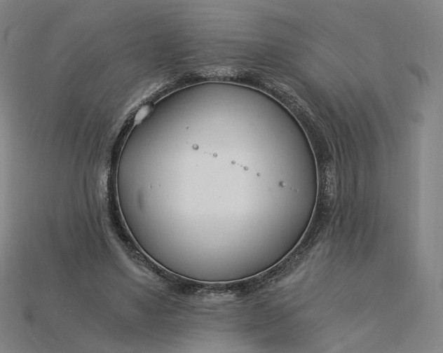 X0000115240491200911131707
