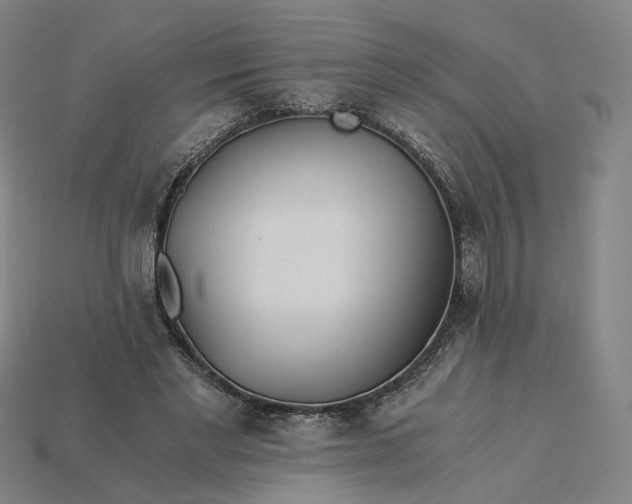 X0000115240493200911131707