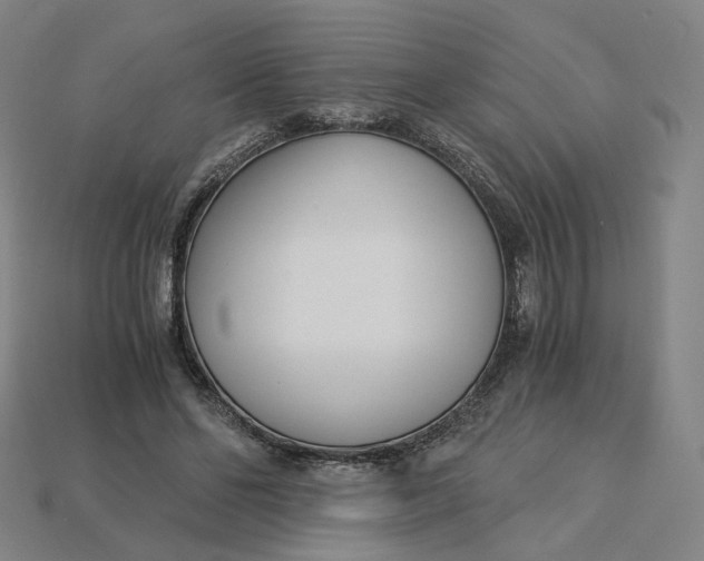 X0000115240494200911131707