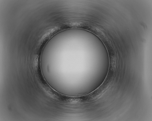 X0000115240495200911131707