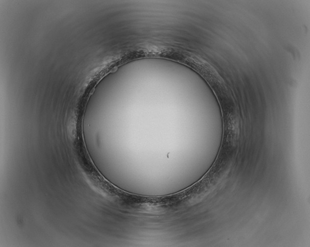 X0000115240496200911131707