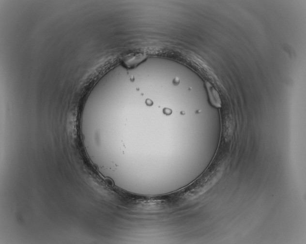 X0000115240497200911131707