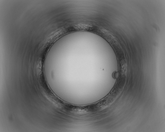 X0000115240498200911131707