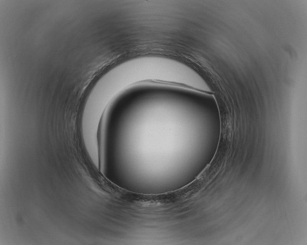 X0000115240500200911131707