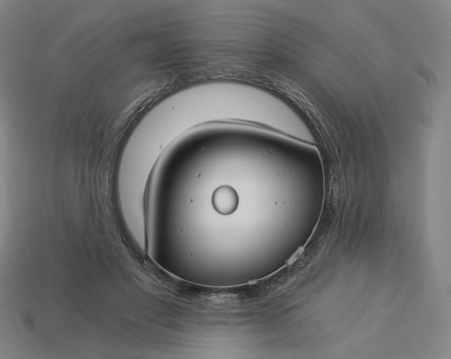 X0000115240501200911131707