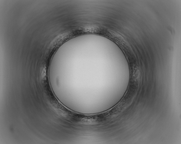 X0000115240502200911131707