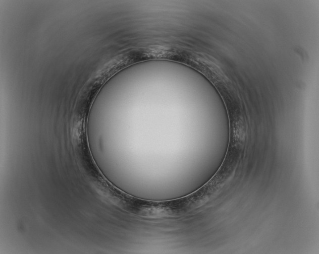 X0000115240503200911131707