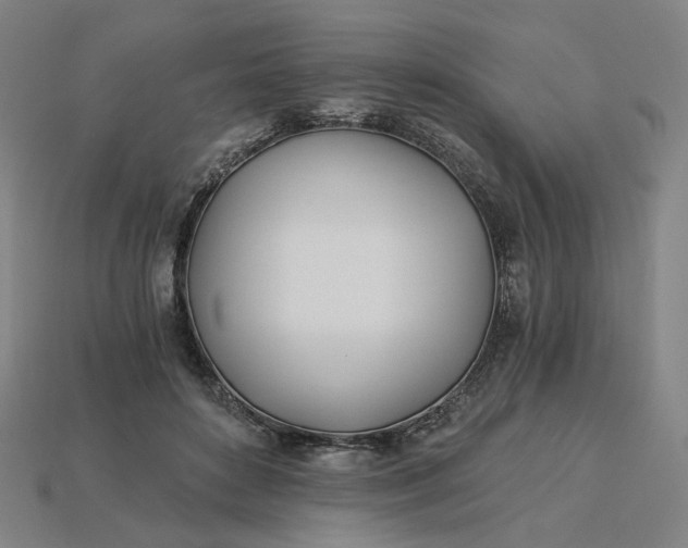 X0000115240504200911131707