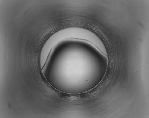 X0000115240505200911131707