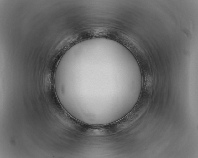 X0000115240506200911131707