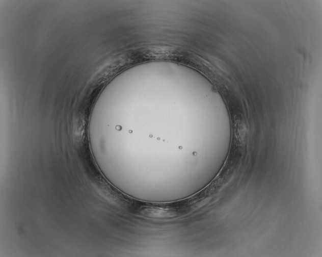 X0000115240507200911131707