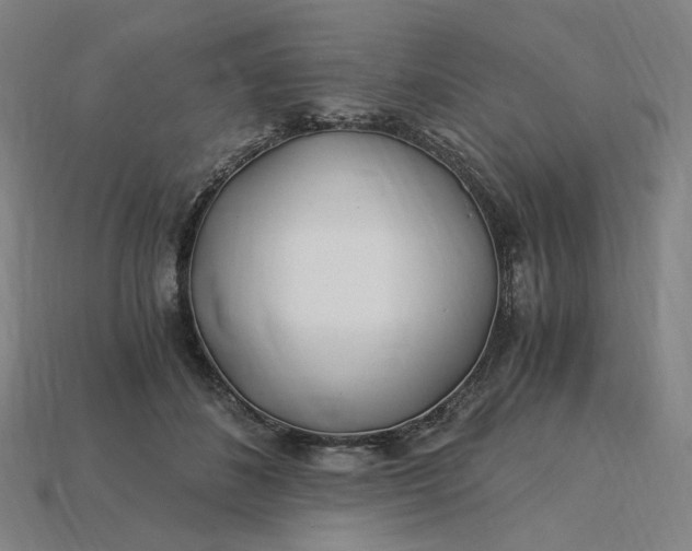 X0000115240508200911131707