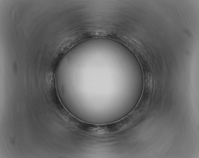 X0000115240511200911131707