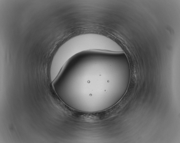 X0000115240512200911131707