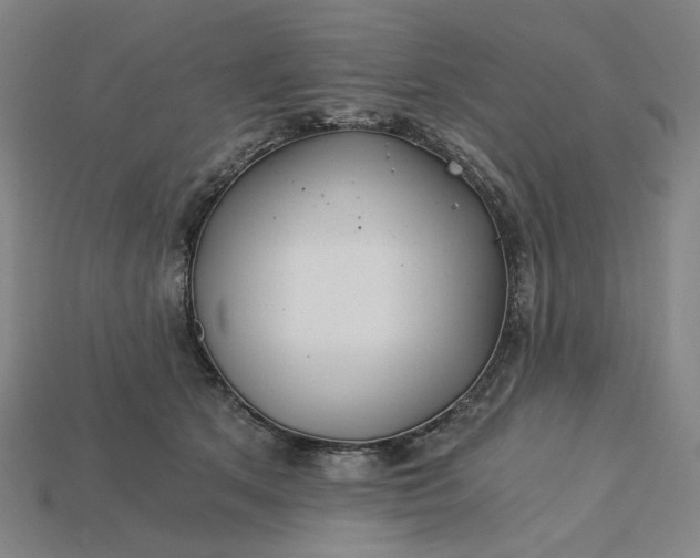 X0000115240513200911131707