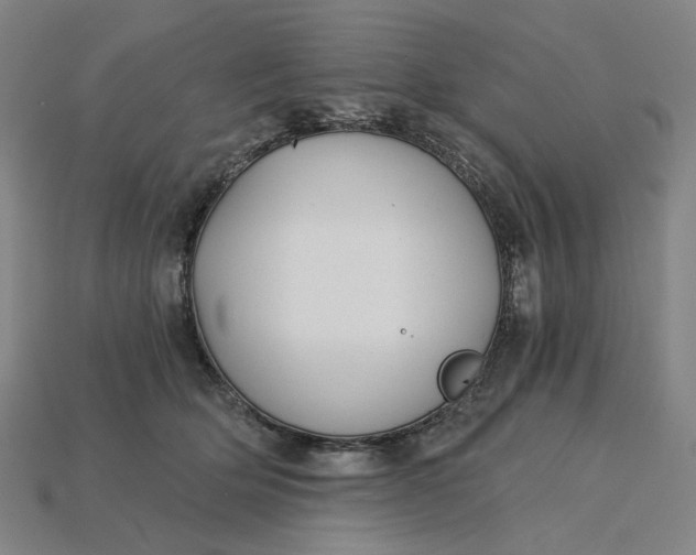 X0000115240514200911131707