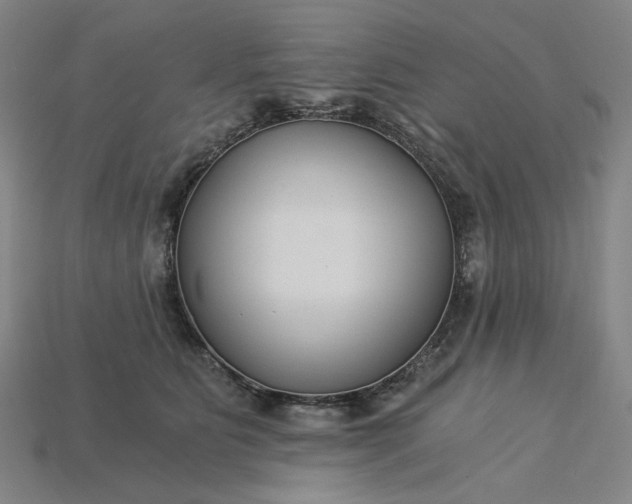 X0000115240515200911131707