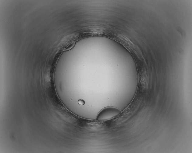 X0000115240516200911131707