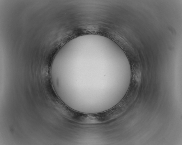 X0000115240518200911131707