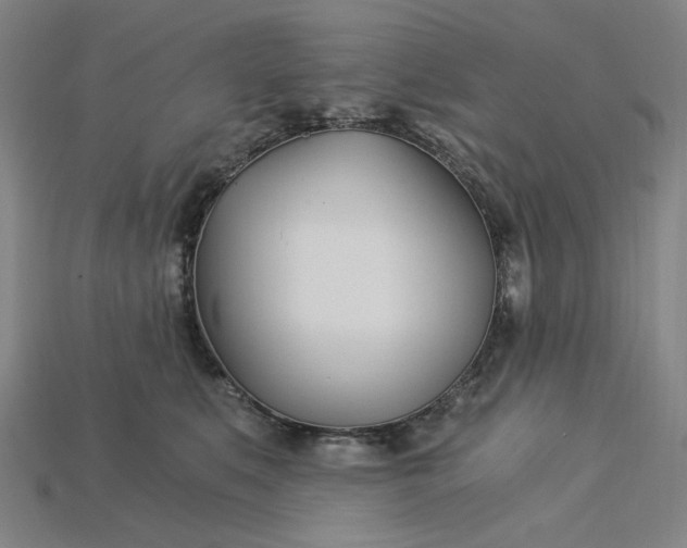 X0000115240519200911131707