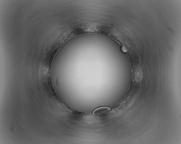 X0000115240521200911131707