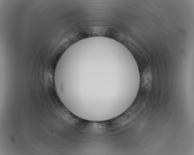 X0000115240522200911131707