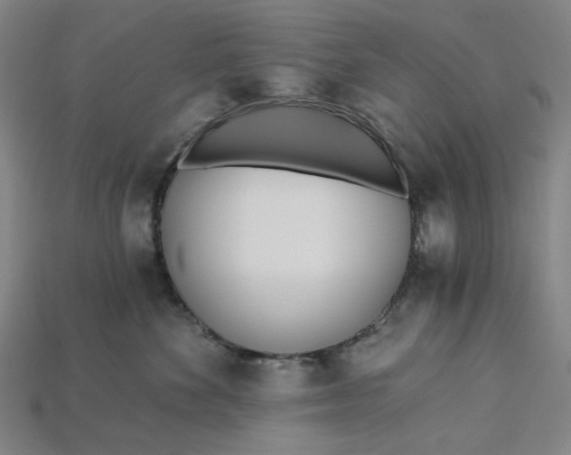 X0000115240524200911131707