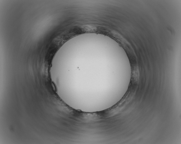 X0000115240525200911131707