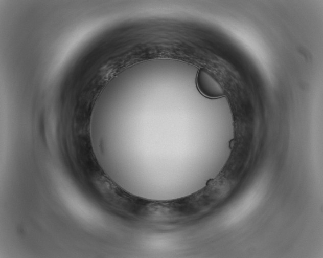 X0000115240526200911131707
