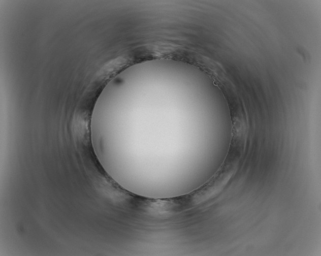 X0000115240527200911131707