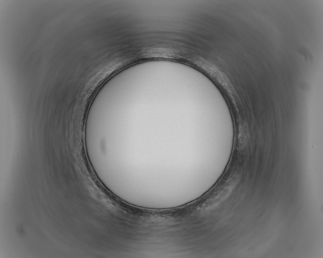 X0000115240529200911131706