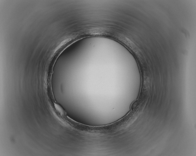 X0000115240530200911131706