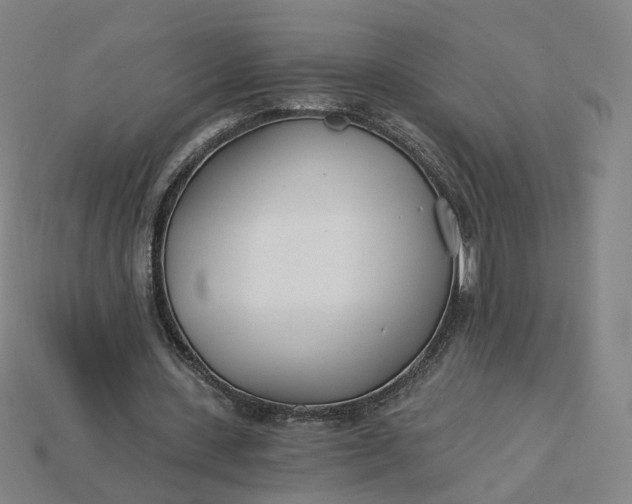 X0000115240531200911131706