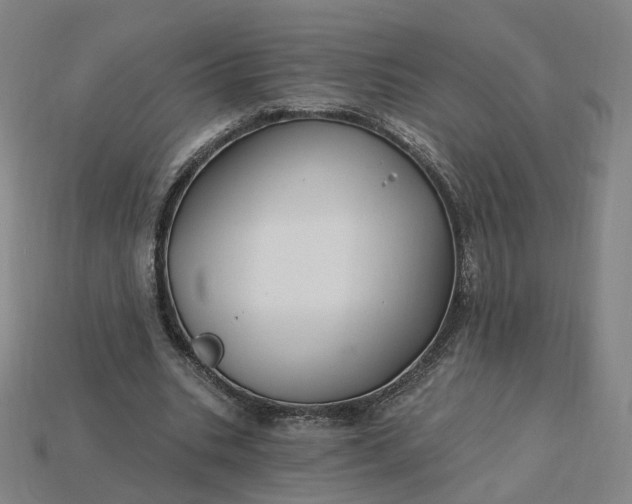 X0000115240535200911131706