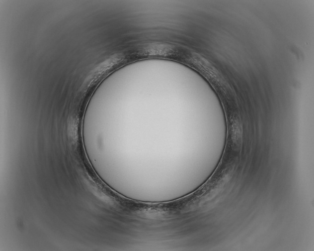 X0000115240537200911131706