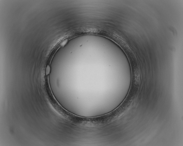 X0000115240538200911131706