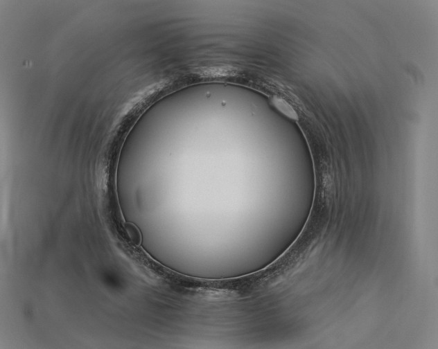 X0000115240539200911131706