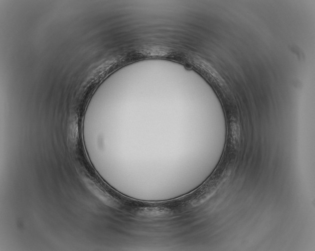 X0000115240541200911131706
